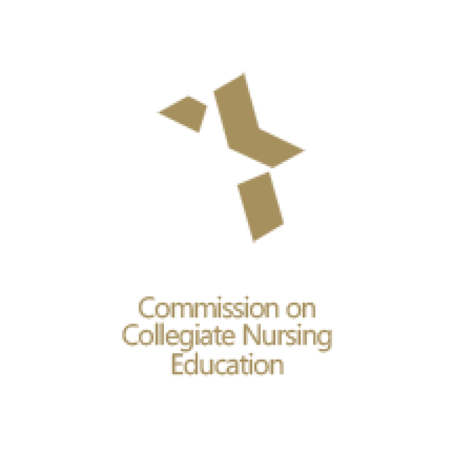 Nursing-CCNE_Logo