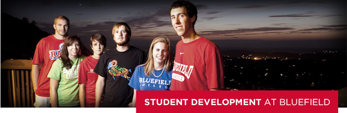 secondary-development